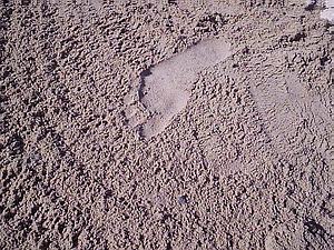 footprint v piesku